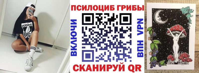 Псилоцибиновые грибы Cubensis  Купить закладки  Игарка 